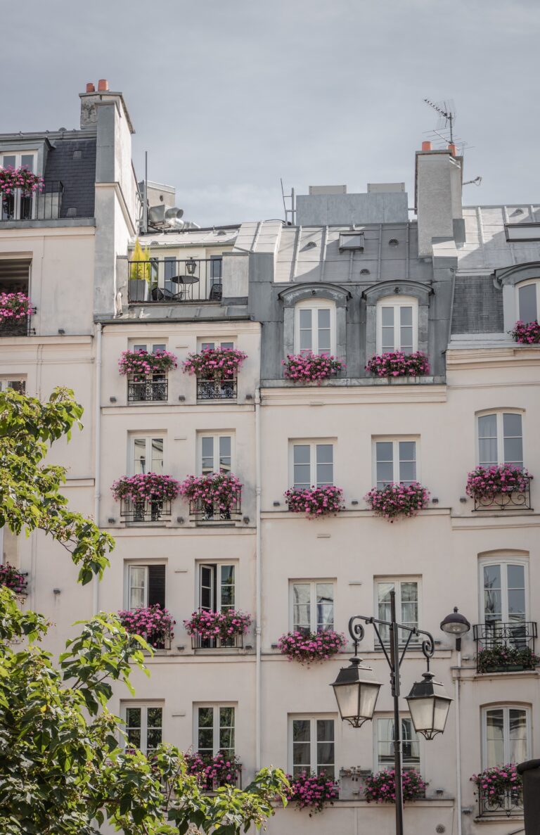 Placements dans les actifs réels