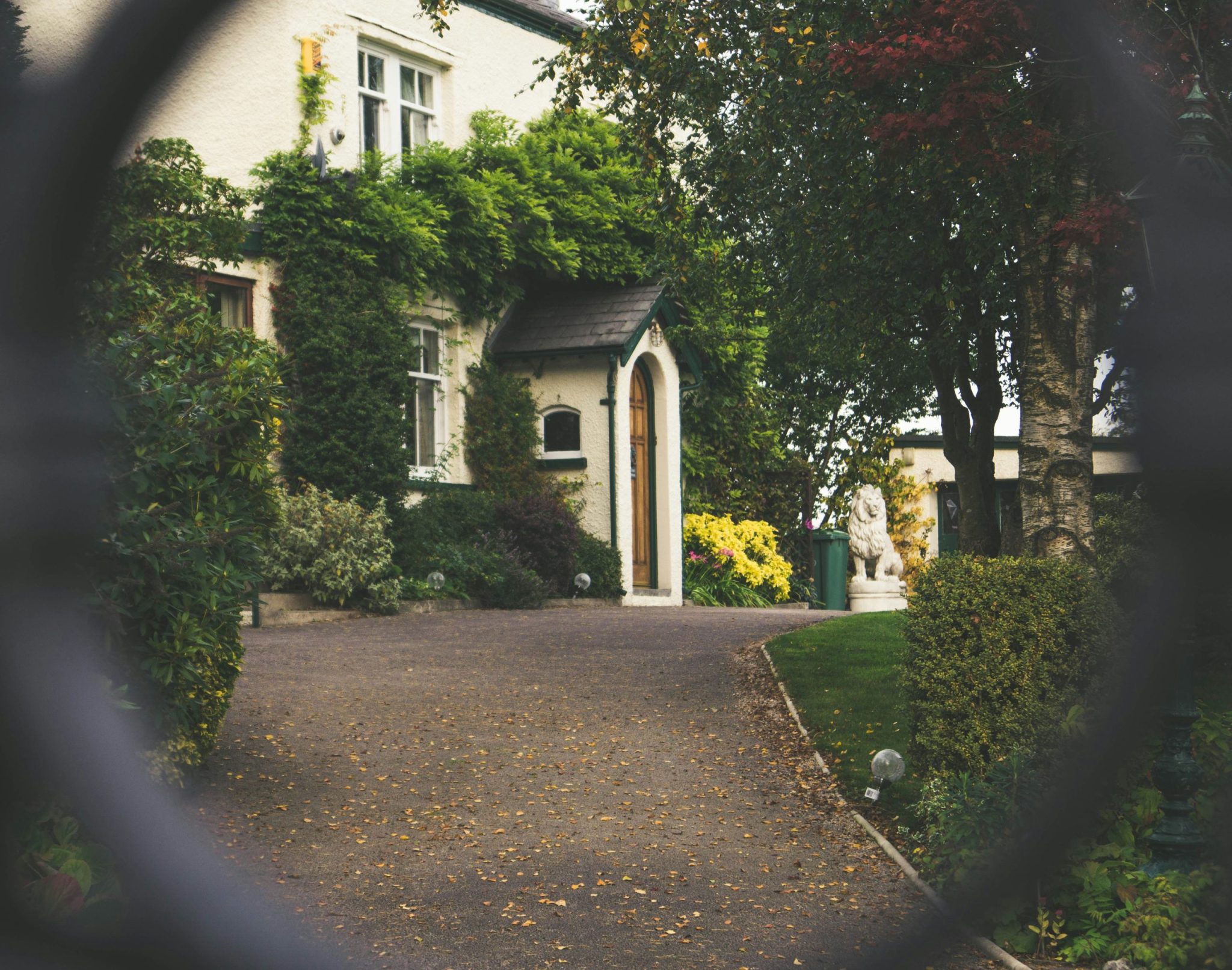 House View